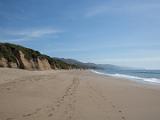 Point Reyes 006